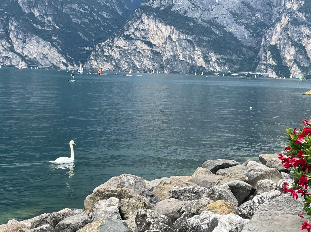 Torbole beach-托尔博莱必去景点