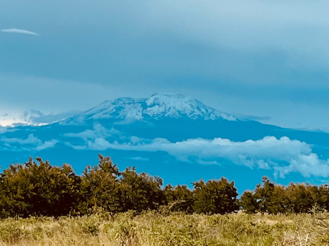 Wilderness Winners Safaris-阿鲁沙必去景点