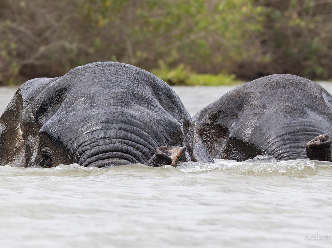 Travel with Deo-Mloka必去景点