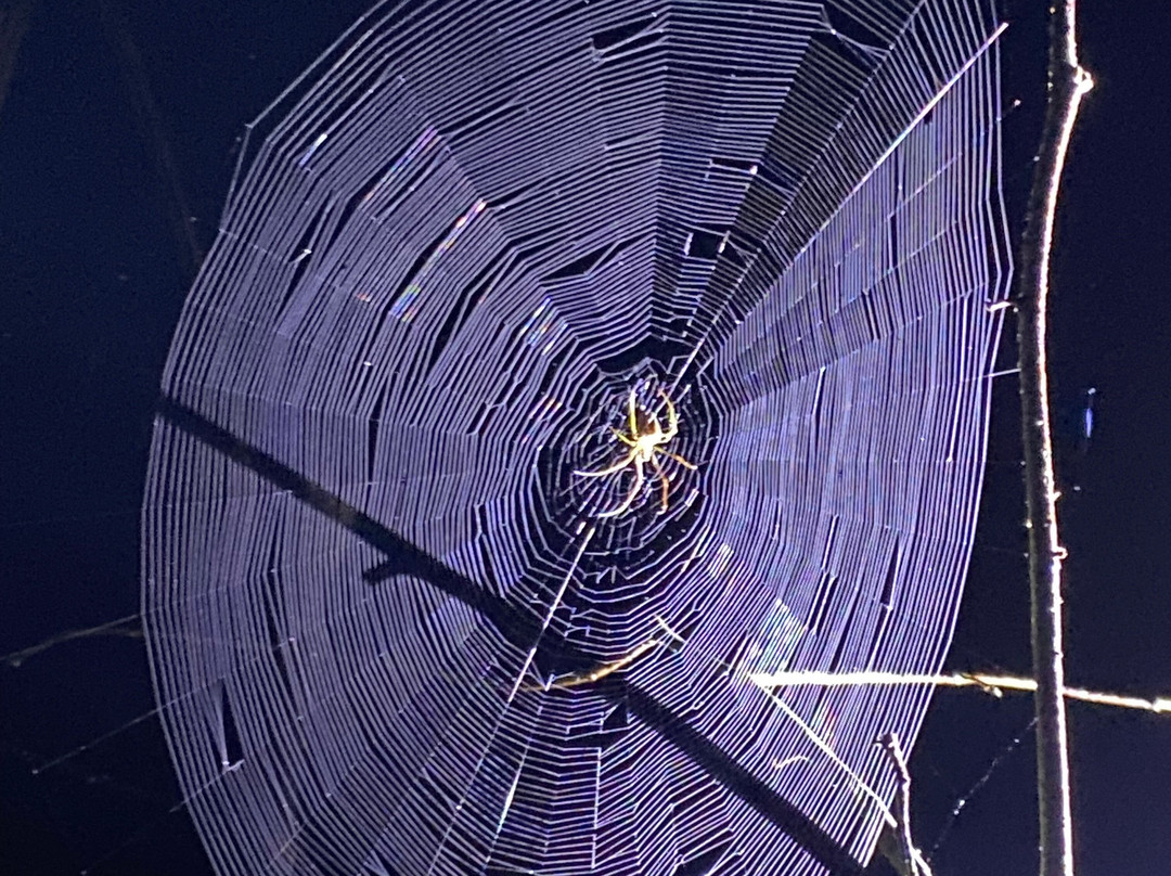 Pajaritos Agami Lodge-Loreto必去景点