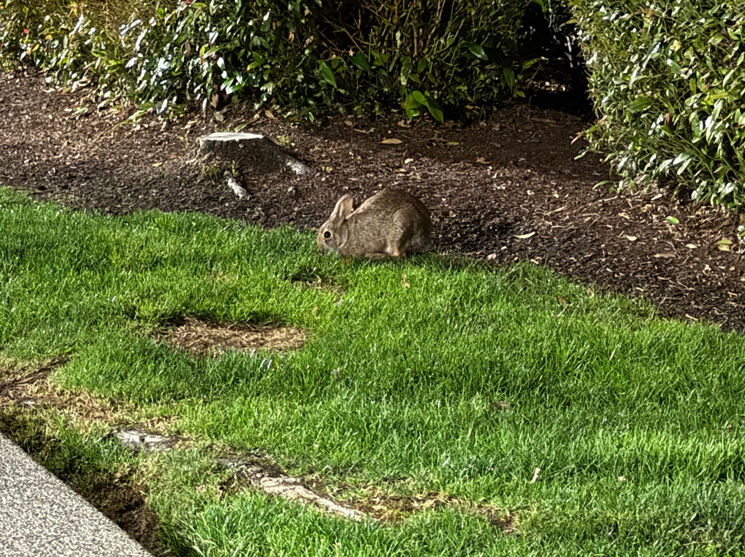 Extended Stay America - Seattle - Bothell - West主图