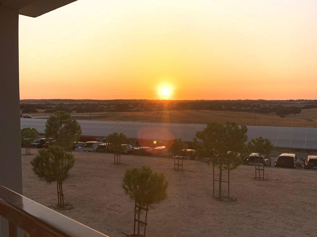 Vila Gale Nep Kids主图