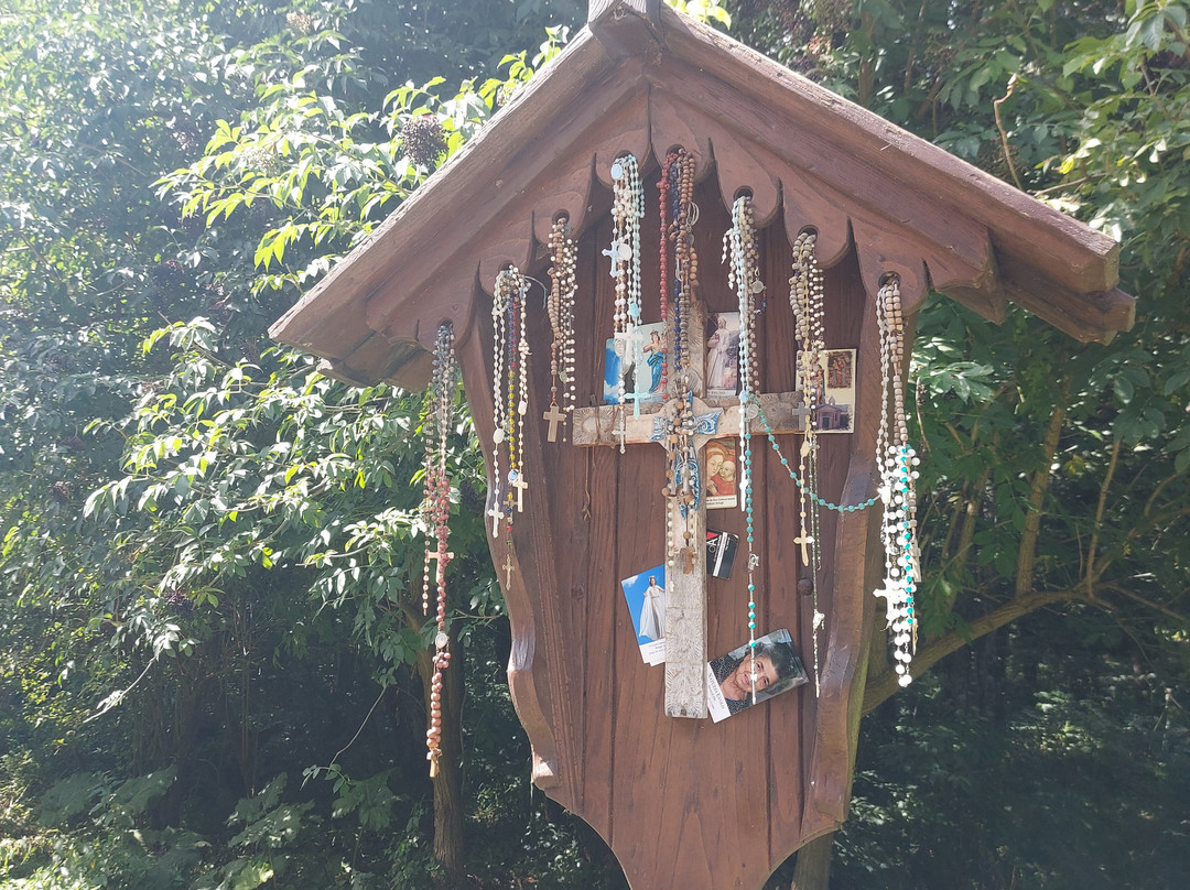 Parco Naturale Regionale delle Serre-Serra San Bruno必去景点