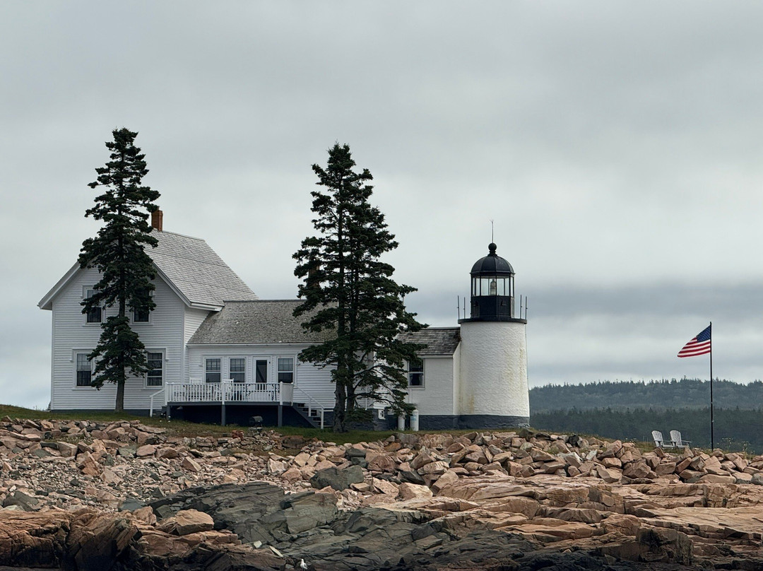 Acadian Boat Tours Puffins, Lighthouses, & Seabirds Cruise-巴港必去景点