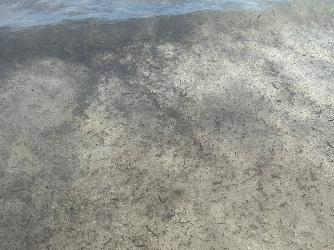 Spiaggia Ezzi Mannu-斯廷蒂诺必去景点