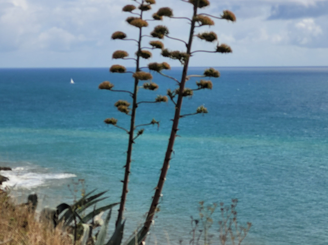 Hotel La Desirade主图