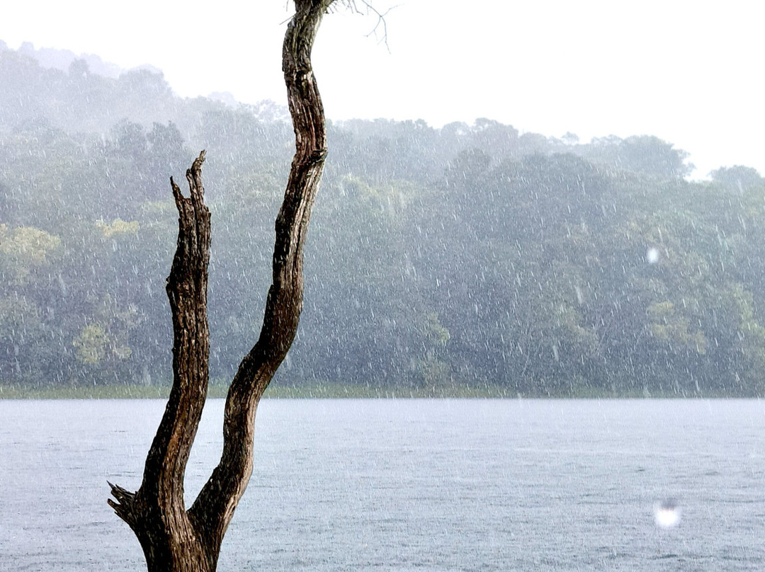 Munnar Angel Cabs-慕那尔必去景点