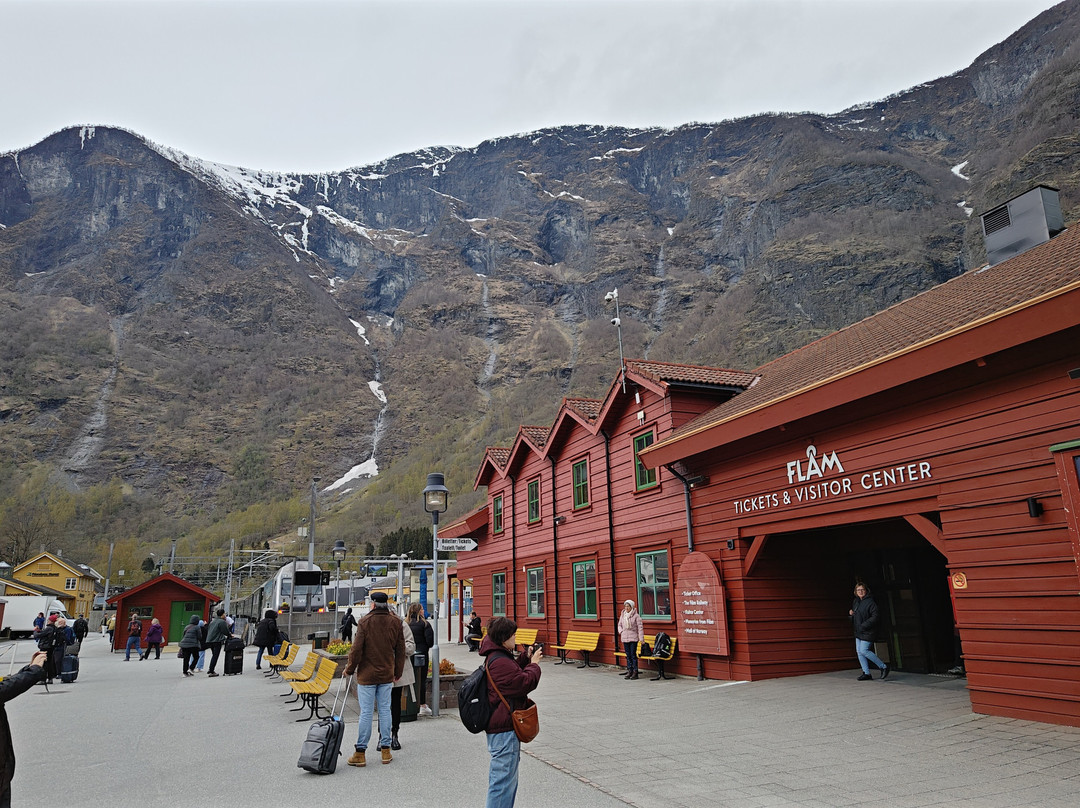 Flam Visitor Center-弗洛姆必去景点