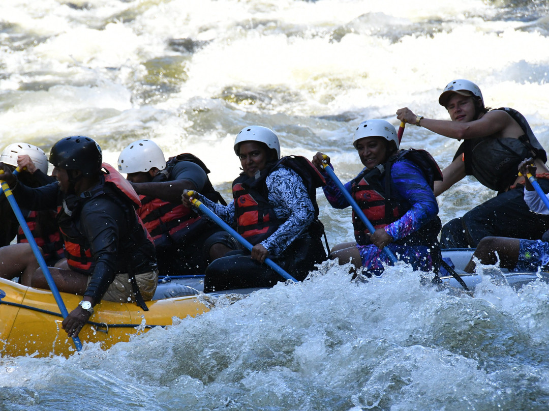 North Country Rivers-Bingham必去景点