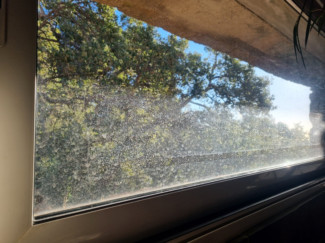 贝吉斯皮斯亚酒店主图