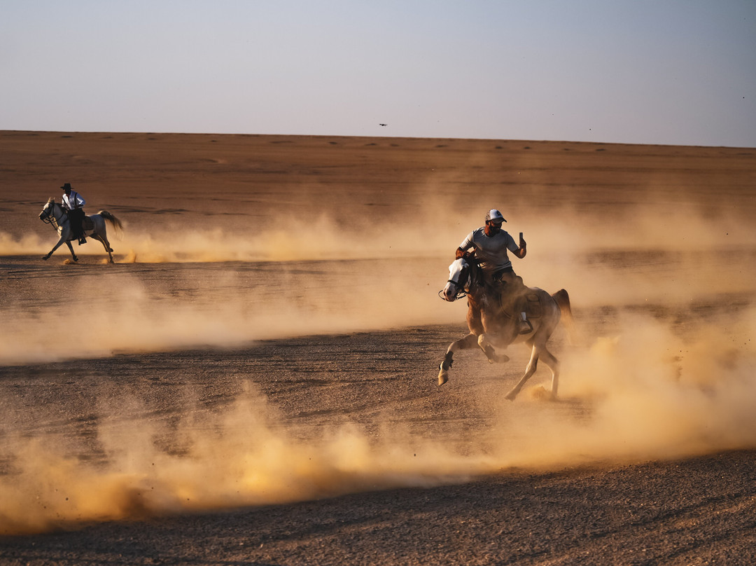Tal3t Kheal - Horse Riding In Egypt-开罗必去景点