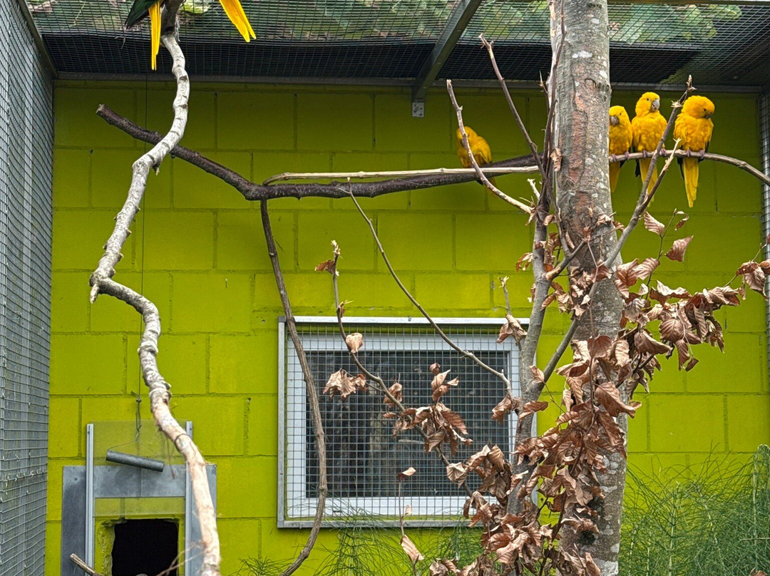 Vogelpark Ambigua-Zeihen必去景点