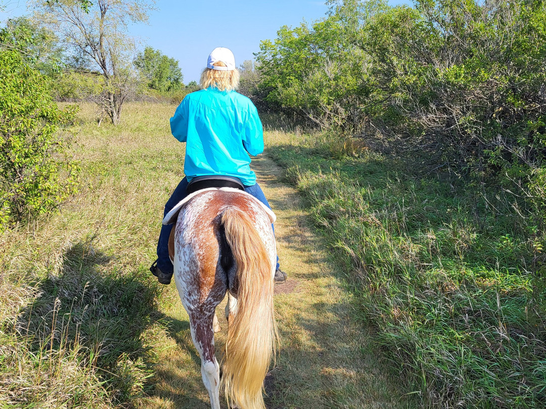 Christine's Horseback Riding-卡尼必去景点
