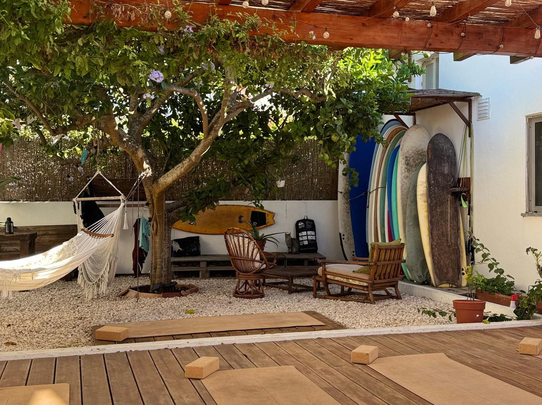 Lemontree Eco Surfhouse主图