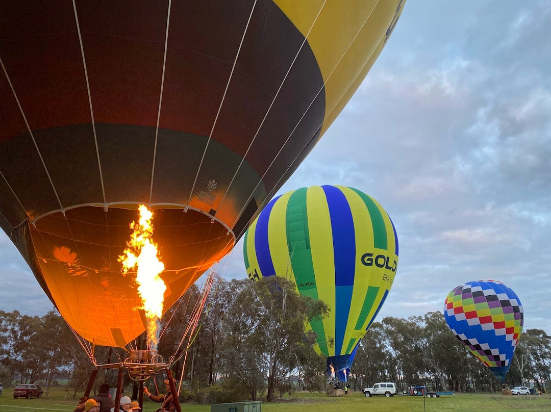 Goldrush Ballooning King Valley-King Valley必去景点