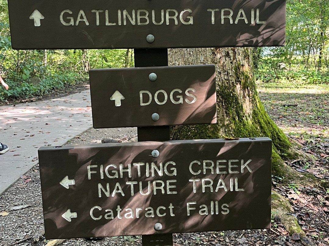 Sugarlands Visitors Center-大雾山国家公园必去景点