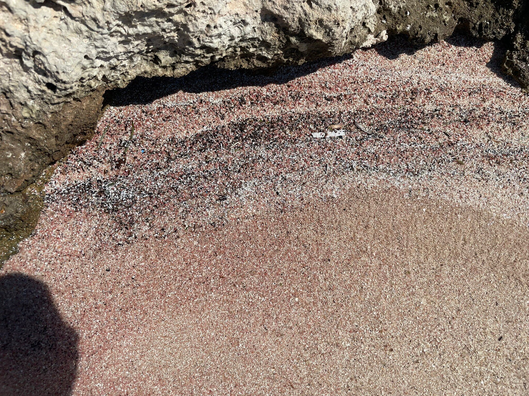 MANOLIS TRAVEL-Platanias必去景点