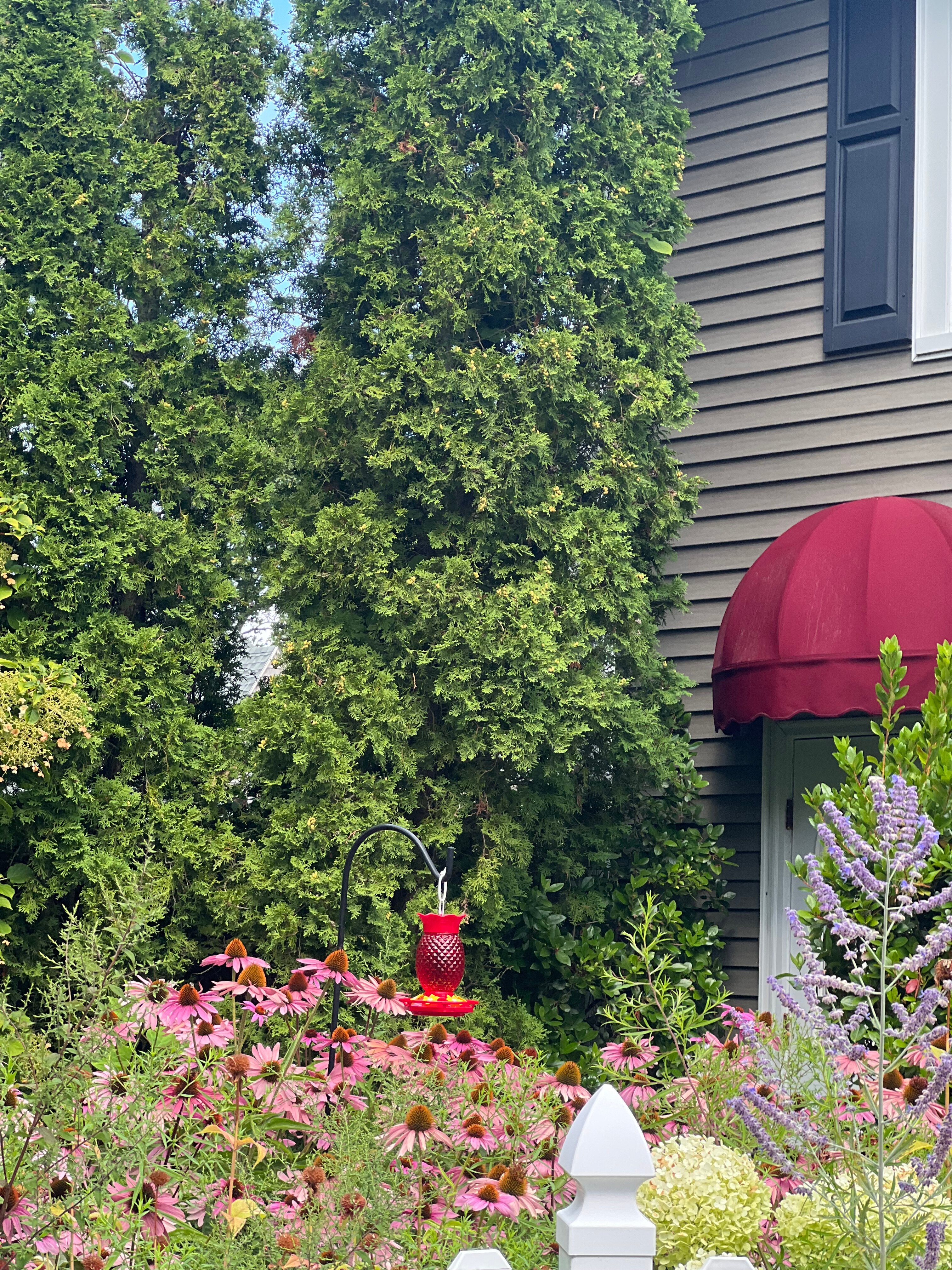 巴尔港庄园酒店-浴室