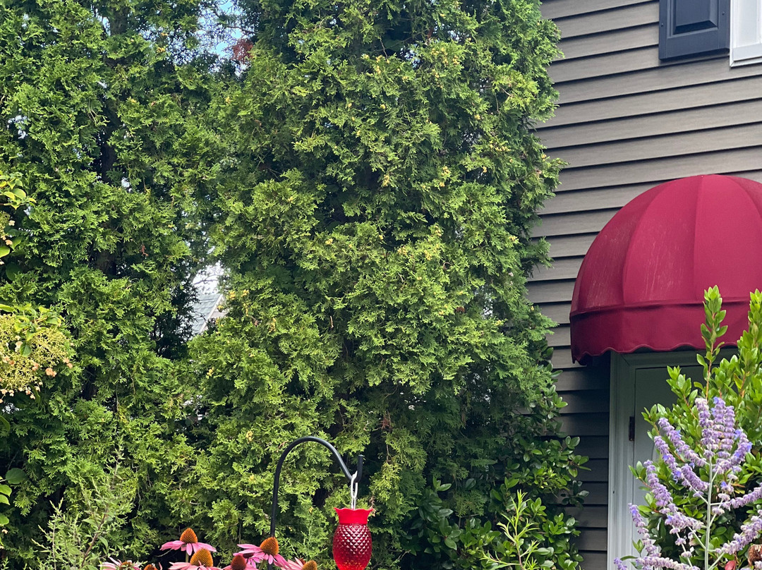 巴尔港庄园酒店主图