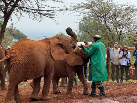 Unscripted safaris-内罗毕必去景点