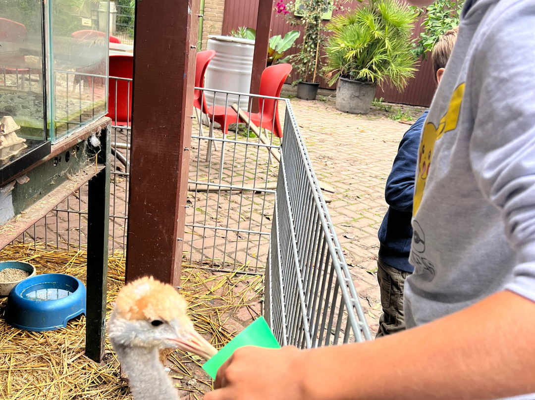 Uilen- en Dierenpark De Paay-Beesd必去景点