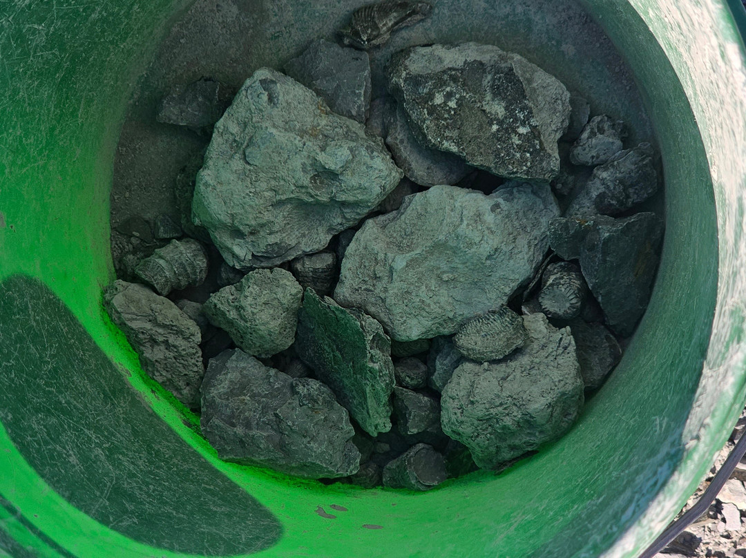 Penn Dixie Fossil Park & Nature Reserve-Blasdell必去景点