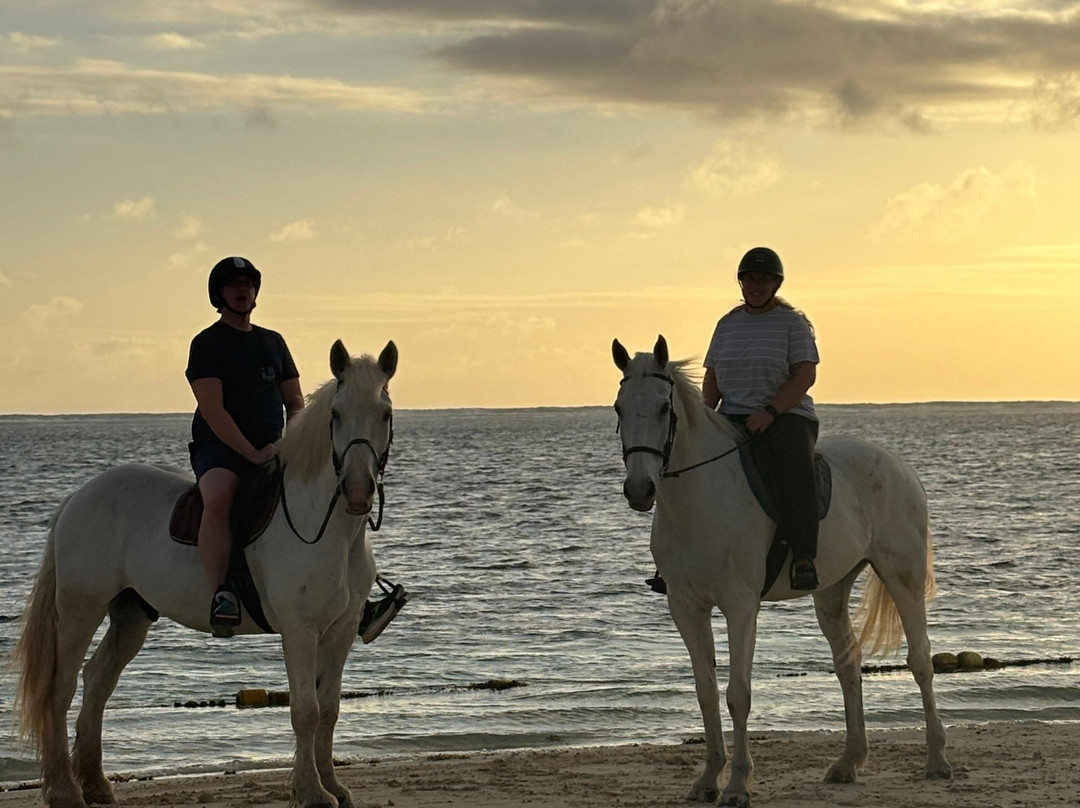 Legasea Stables Mauritius-Quatre Cocos必去景点