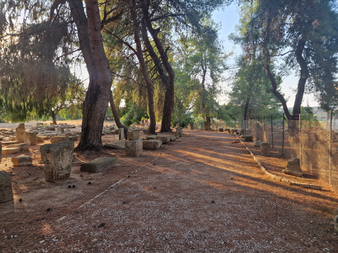 Archaeological Museum of Ancient Elis-Archea Ilida必去景点