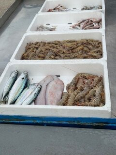 Porto Canale-Porto Garibaldi必去景点