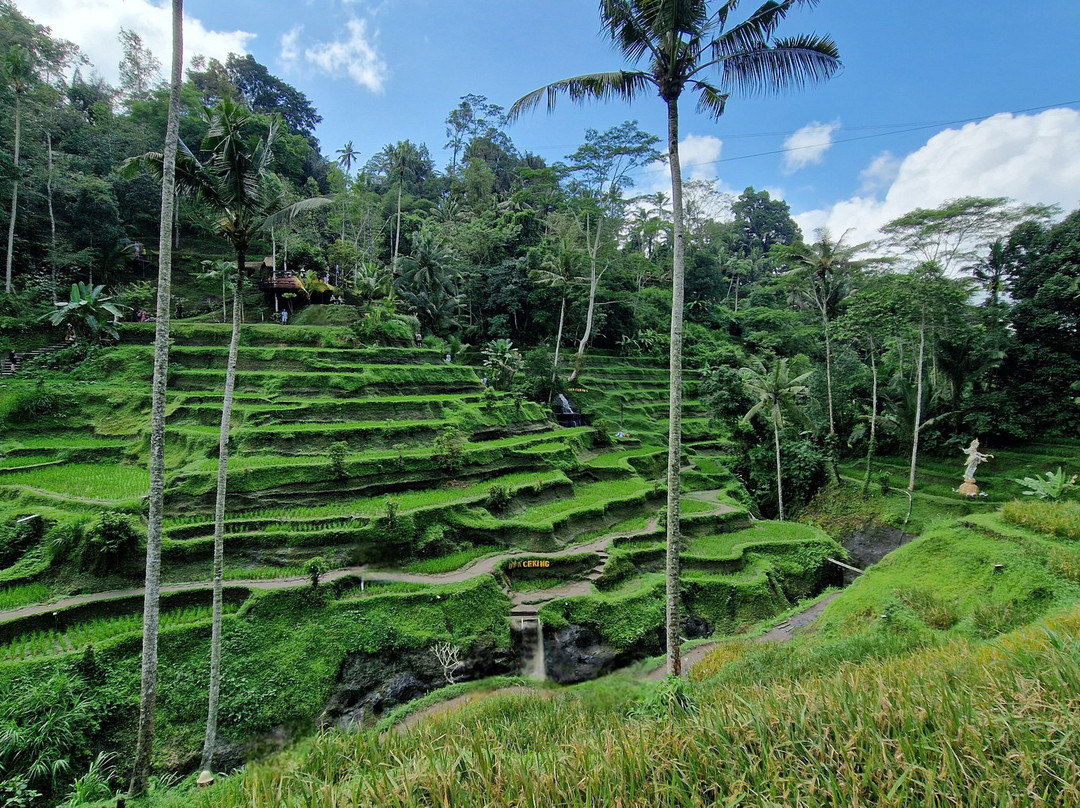 Three Gold Luxury Private Villa主图