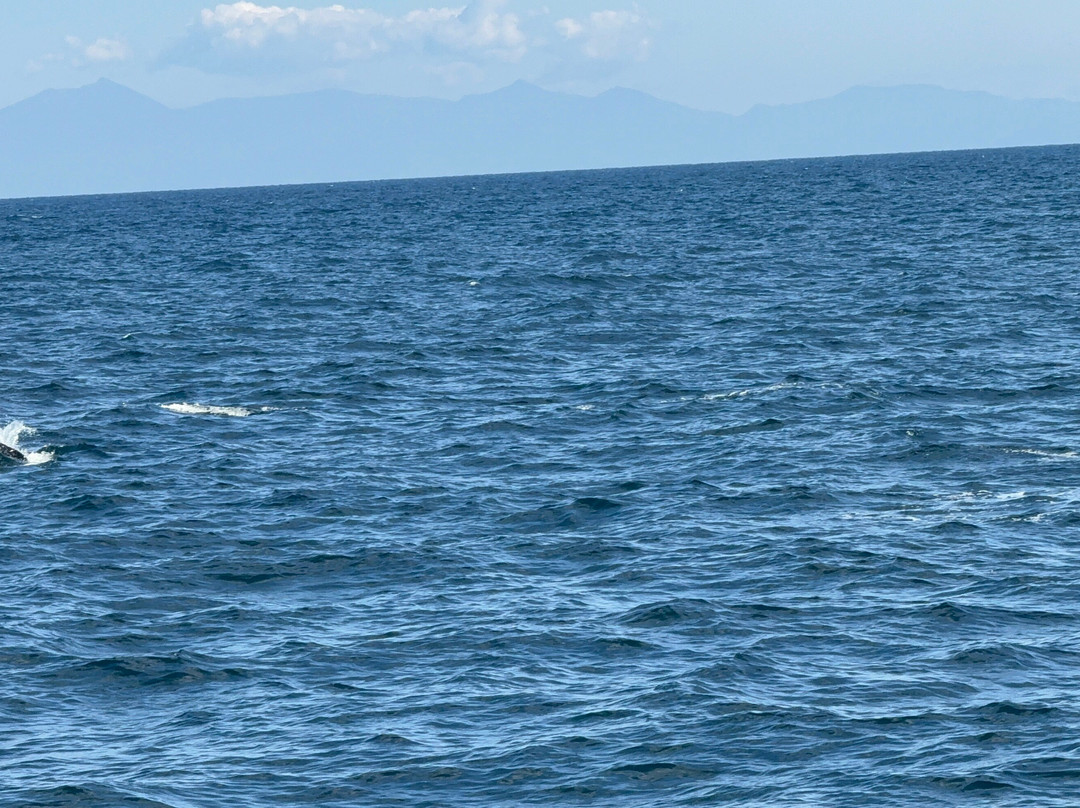 Gojiraiwa Kanko - Day Tours (East Shiretoko)-罗臼町必去景点