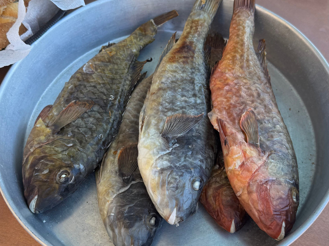 Naxos Fishing Trips By Stamatis-Agia Anna必去景点