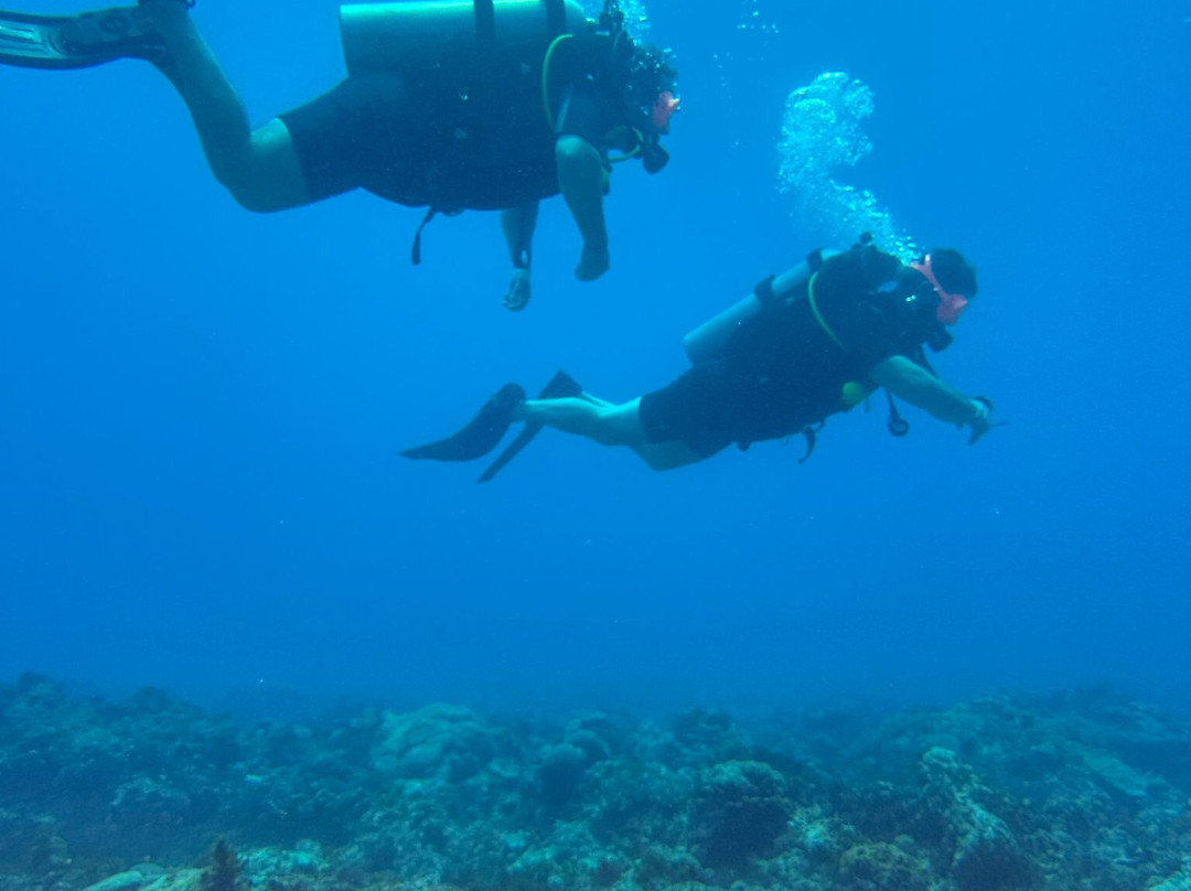 Rising Sun Dive Center-桑给巴尔岛必去景点