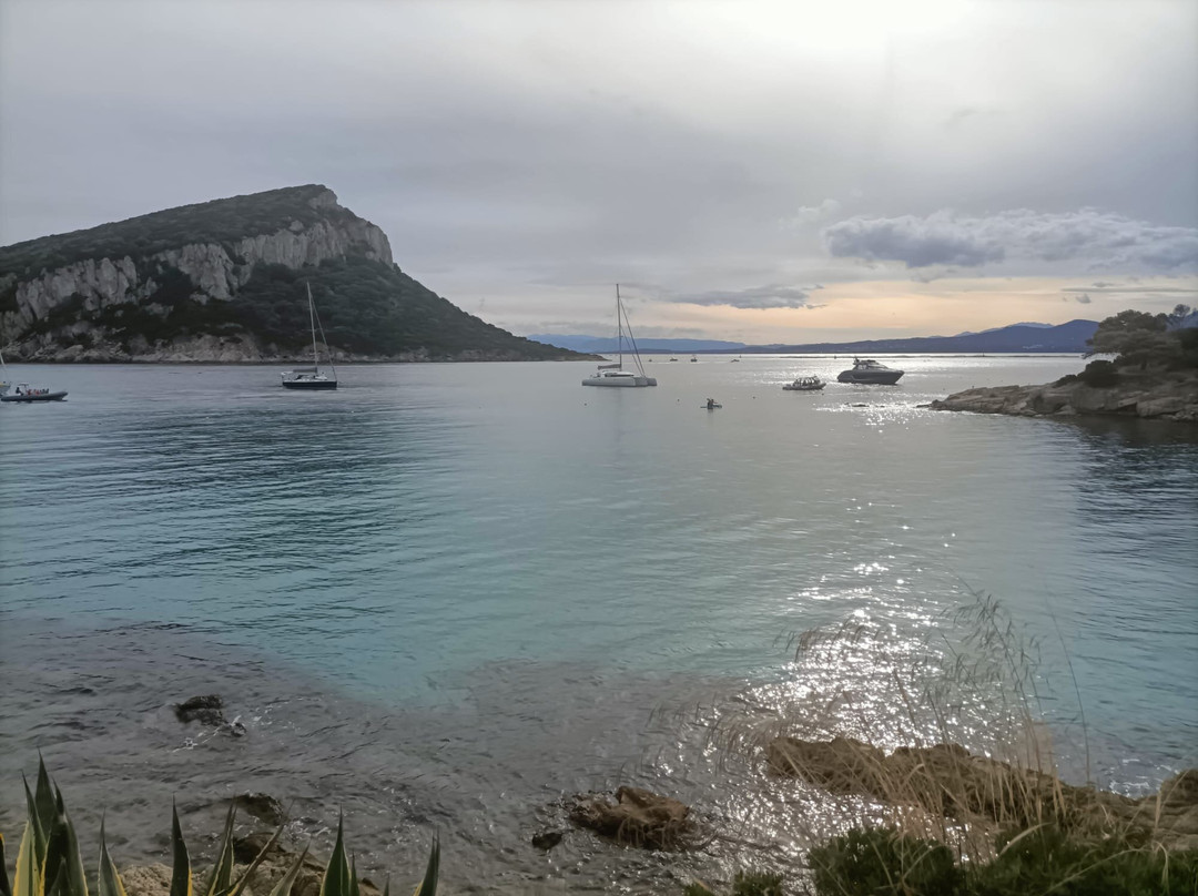 Spiaggia di Cala Moresca-Golfo Aranci必去景点