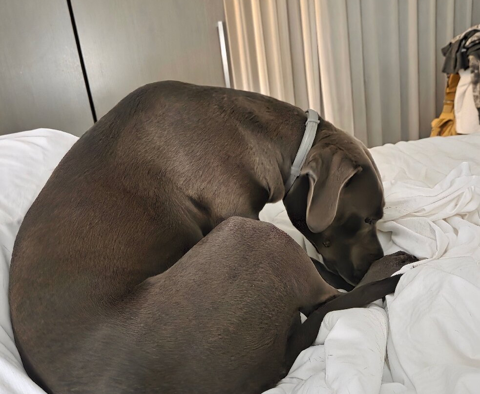 Doubletree By Hilton Denver - Westminister主图