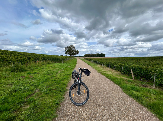Detours in France-博讷必去景点