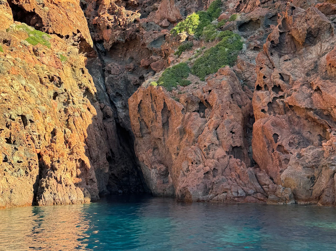 Le Goëland-Porto必去景点