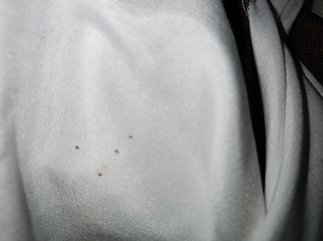 Extended Stay America - Portland - Beaverton主图