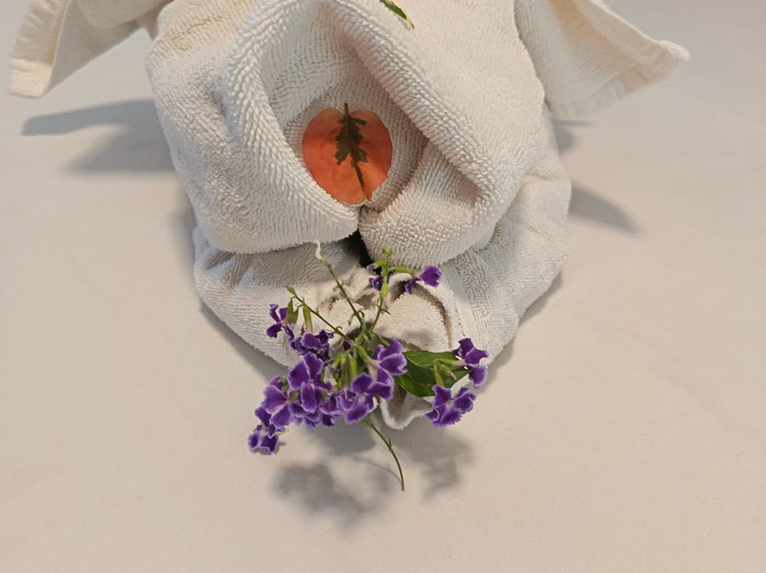 态度炮手角主图