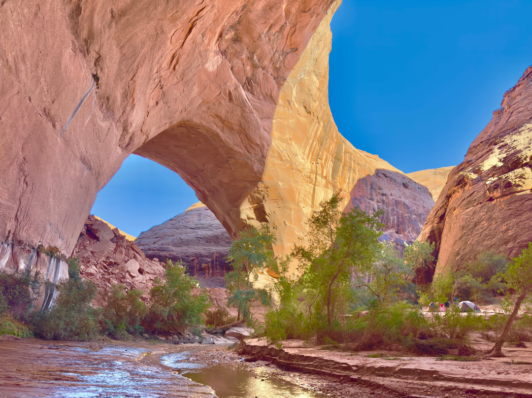 Canyon Country Lodge主图