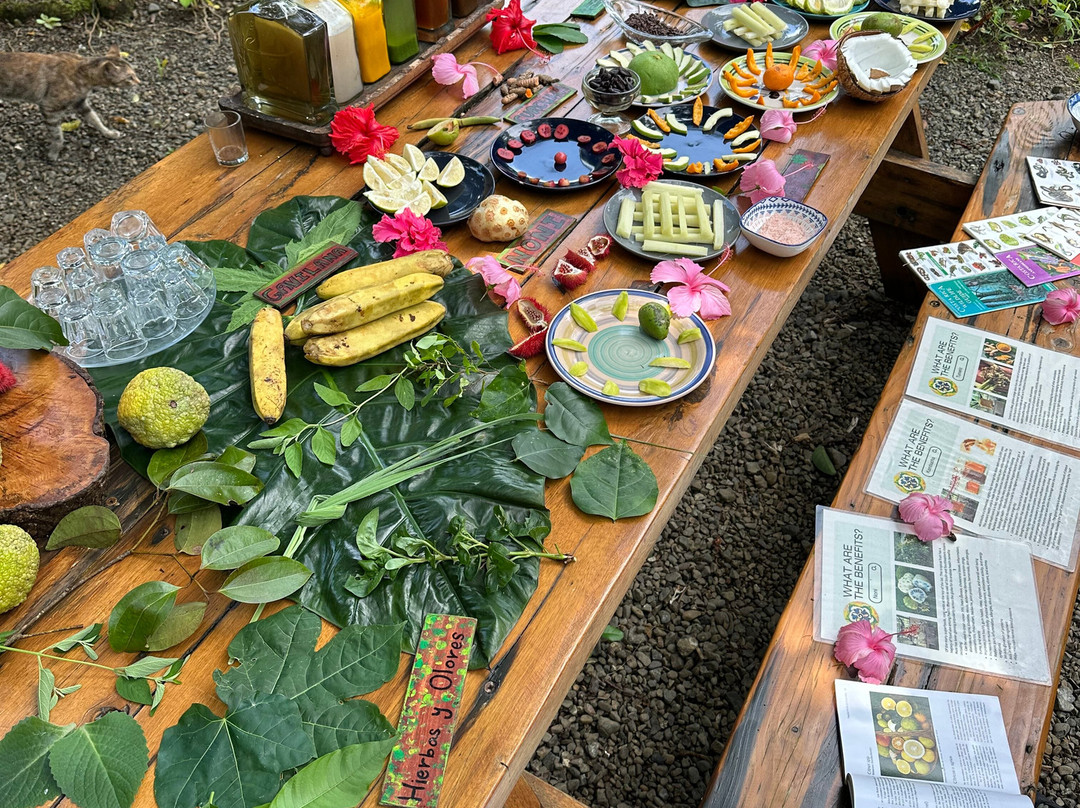 Shooting Star Studio-帕沃尼斯必去景点