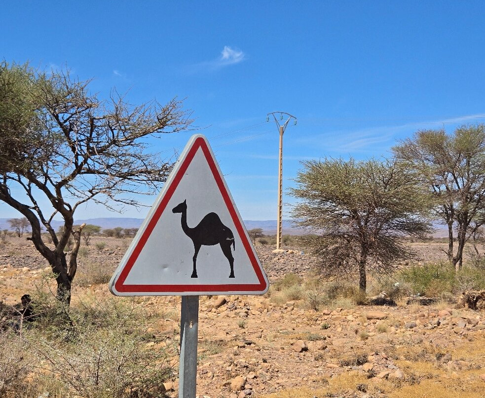 Good Morocco Travel-非斯必去景点