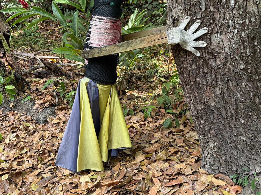 巨人的沉睡花园-纳迪市必去景点