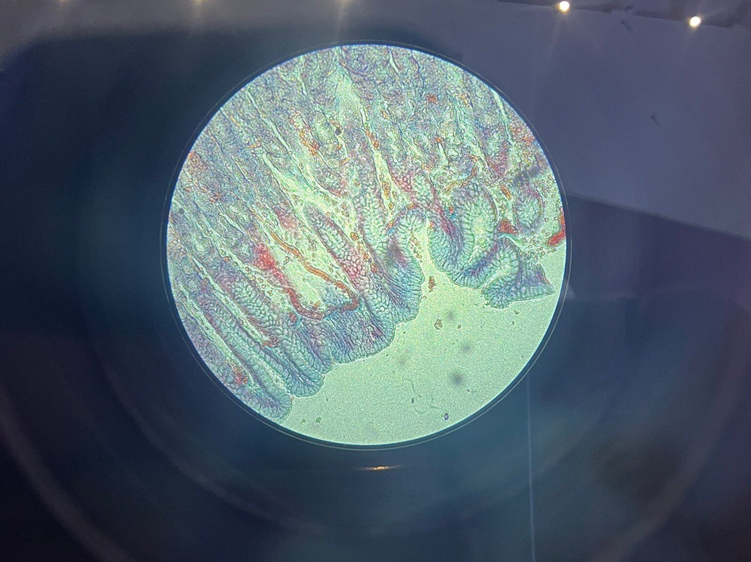 Esplora Interactive Science Centre-Kalkara必去景点