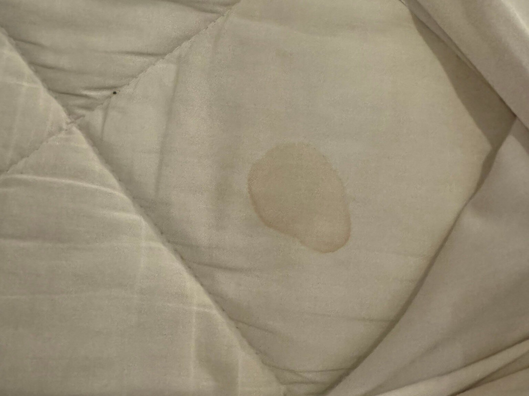 Courtyard Seoul Pangyo主图