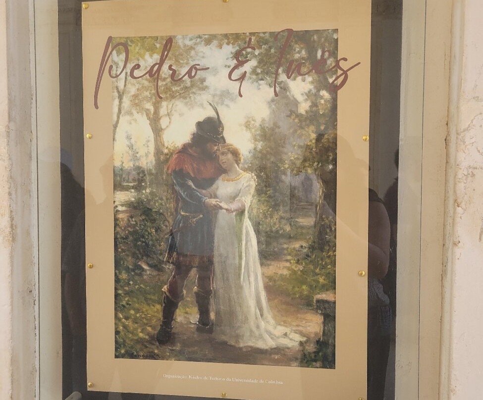 Tuk a Day-科英布拉区必去景点