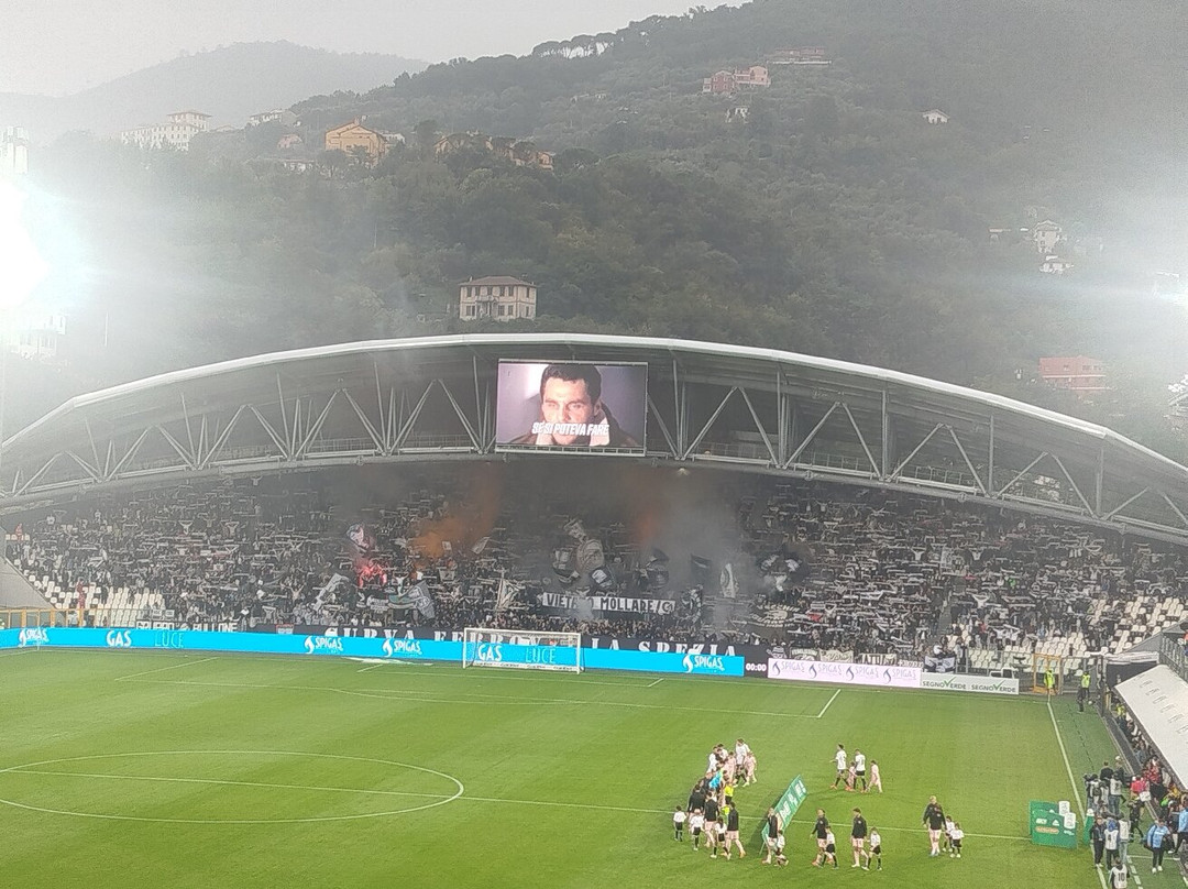 Stadio Alberto Picco-拉斯佩齐亚必去景点