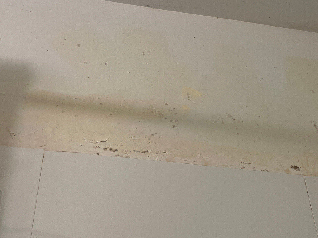 The Budget Inn Express主图