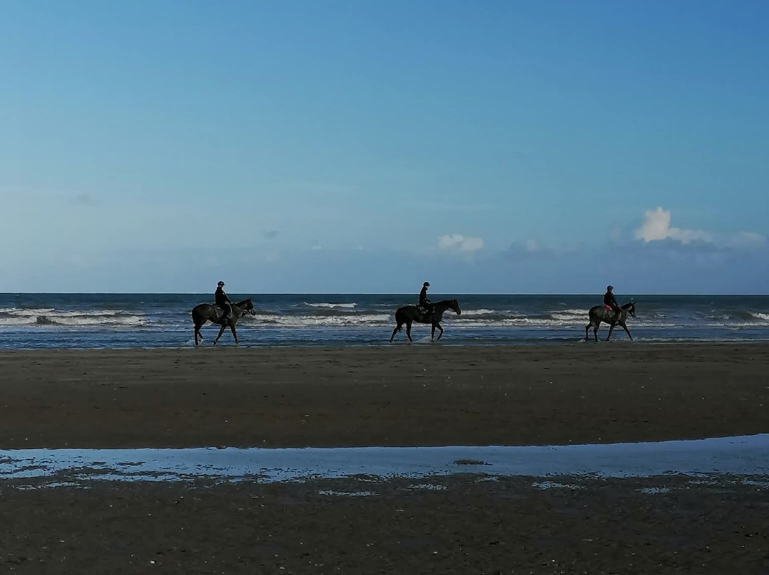 Turi Turi-贝加莫必去景点