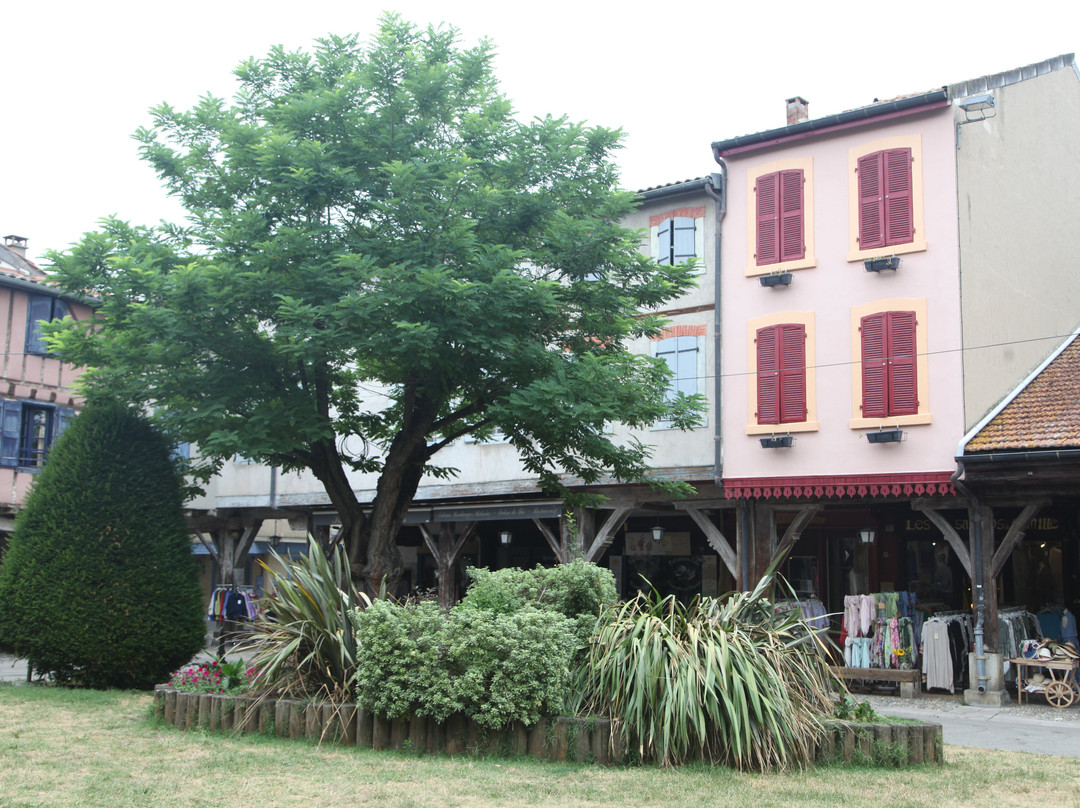 Place Marechal Leclerc-Mirepoix必去景点